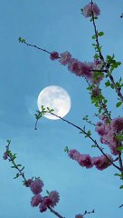 beautiful cloudy red and blue sky | romentic blue sky