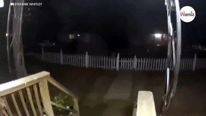 Watch Family worried they'd never see lost cat again, then the doorbell rings