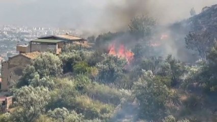 Palermo circondata dagli incendi: è emergenza