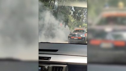 Isolato dalle fiamme "Villaggio Montano" nel palermitano