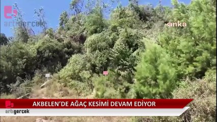 Akbelen Ormanı'nda direniş de ağaç kesimi de sürüyor