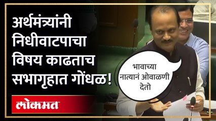 निधीवाटपा बाबत अखेर अर्थमंत्री अजित पवार काय बोलले?