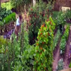 One of my favorite movies