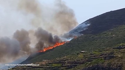 Incendio a Pantelleria, paura sull'isola