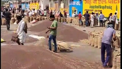 कृषि जिंसों सहित किराना व सर्राफा बाजार भाव