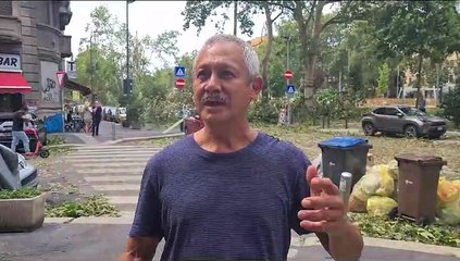 Maltempo a Milano, alberi caduti in viale Argonne. Il testimone: "E' stato il finimondo"