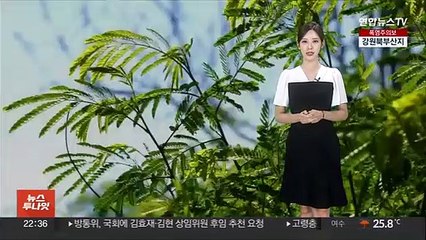 [날씨] 밤사이 수도권 세찬 비…폭염주의보 확대