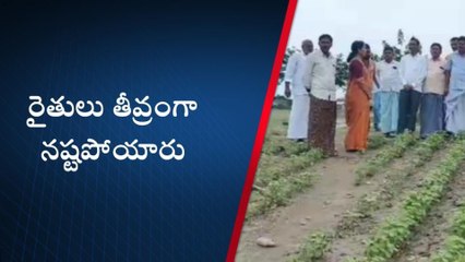 జైనథ్: రైతులు తీవ్రంగా నష్టపోయారు.. ఆదుకోండి