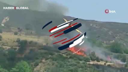 Yunanistan'da yangın söndürme uçağı düştü