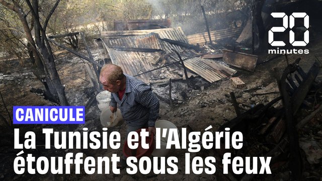 Canicule : La Tunisie et l’Algérie sont en proie aux chaleurs et aux feux