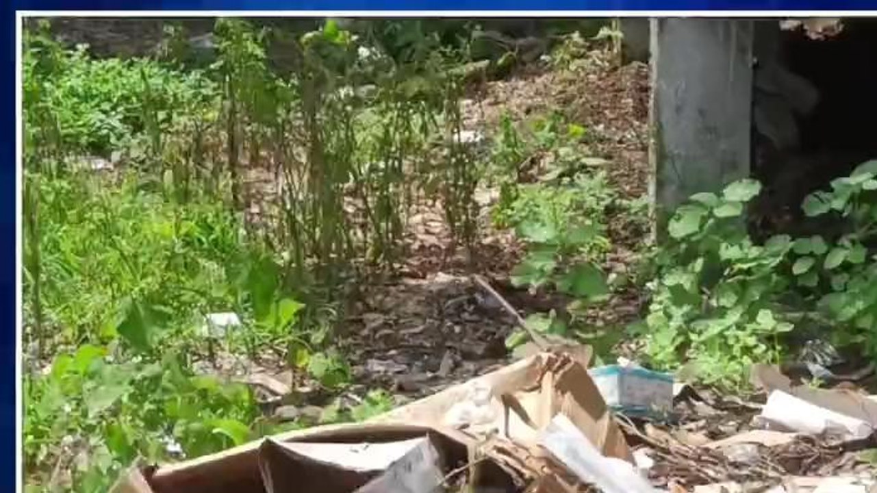 बेतुल: अस्पताल परिसर में लगा गंदगी का अंबार,मरीज परेशान....जिम्मेदार अनजान..देखें हाल
