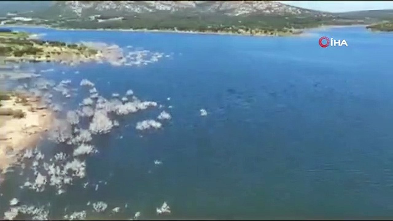 Inspection par drone en réponse aux incidents de noyade de la gendarmerie