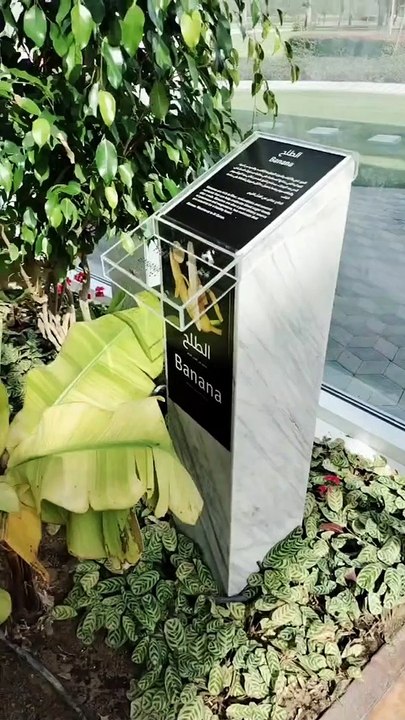 Quranic park in dubai