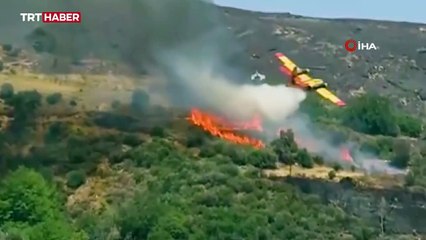 Yunanistan'da yangın söndürme uçağı düştü