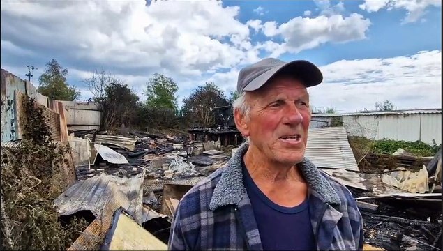 Dozens of pigeons killed in suspected arson attack at Sunderland allotments