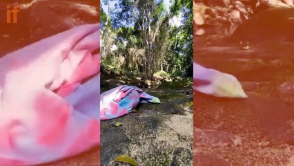 Leticia Spiller compartilha vídeo curtindo a natureza