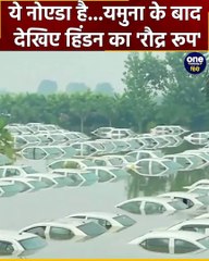 Hindon River: Yamuna के बाद हिंडन का देखिए रौद्र रूप | वनइंडिया हिंदी #Shorts