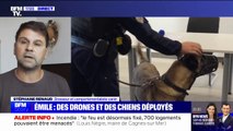 Chiens déployés à la recherche d'Émile: 