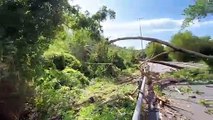 Tangenziale Siena Ovest, il video dell'albero caduto