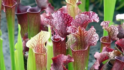 9 Unbelievable Places that Actually Exist