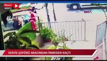 Büyükçekmece'de yol kenarındaki köpeği ezen servis şoförü aracından inmeden kaçtı