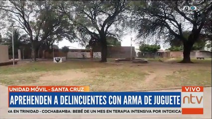 Delincuentes intimidaban con un arma de juguete