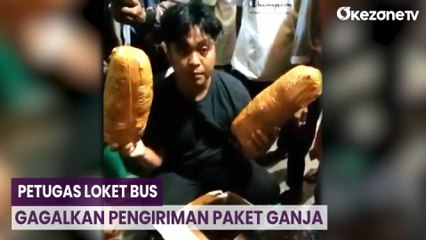 Download Video: Detik-Detik Petugas Loket Bus di Mandailing Natal Gagalkan Pengiriman Paket Ganja Tujuan Jakarta