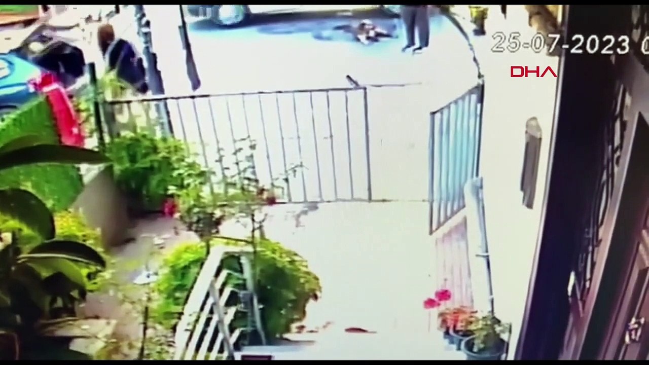 À Büyükçekmece, un chauffeur de service a écrasé le chien, un autre chauffeur l'a emmené chez le vétérinaire