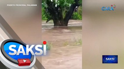 Download Video: Mahigit 300 pamilya, lumikas sa Palawan dahil sa bagsik ng Super Bagyong Egay | Saksi