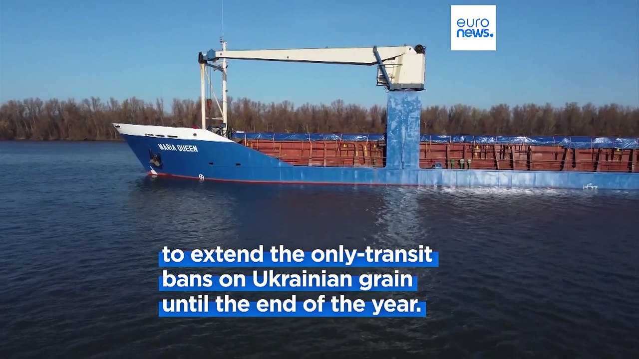 Eastern European countries push for bans on Ukrainian grain to be extended until end of year
