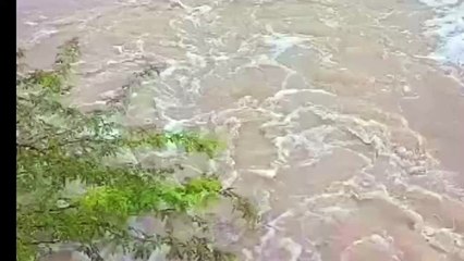 छलकी कासावती नदी,रायपुर बांध तक पहुंचा पानी