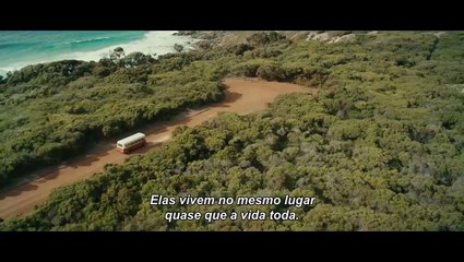 Blueback: Uma Amizade Profunda 2023 Trailer Oficial Legendado