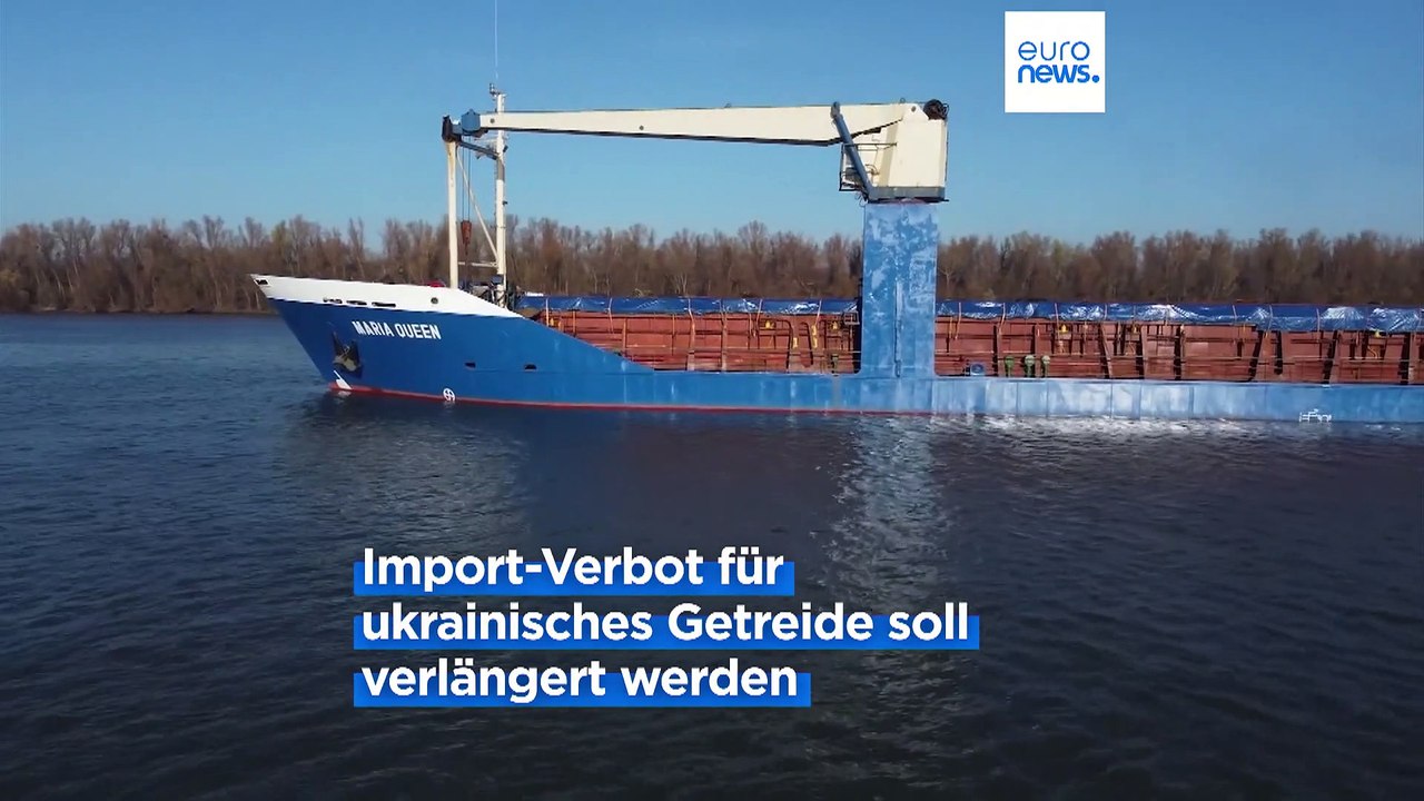 Osteuropäische EU-Länder drängen auf Verlängerung des Importverbots für ukrainisches Getreide