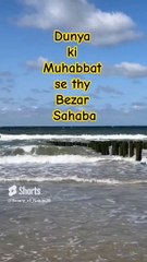 #Beautiful Manqabat#Beautiful Nature#Beautiful World#Shorts#Shorts with Lyrics#Youtube# (3)