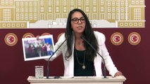 TİP Sözcüsü Sera Kadıgil: Ne devlet ne polis, ormanı 2 yıldır kadınlar savunuyor