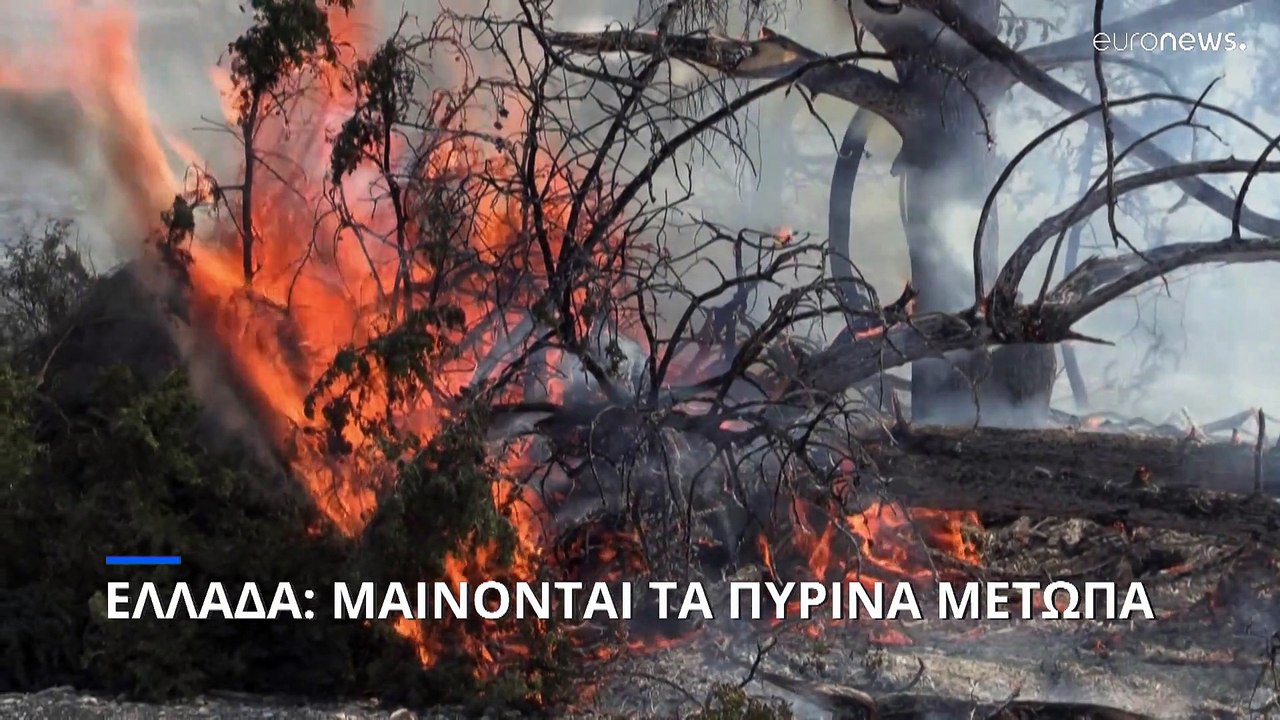 Πτώση canadair στην Κάρυστο - Νεκροί οι δύο Έλλ...