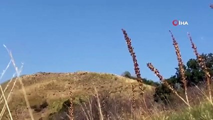 Bingöl'de 55 kilogram ağırlığında EYP imha edildi