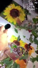 Grêle sans précédent en Italie