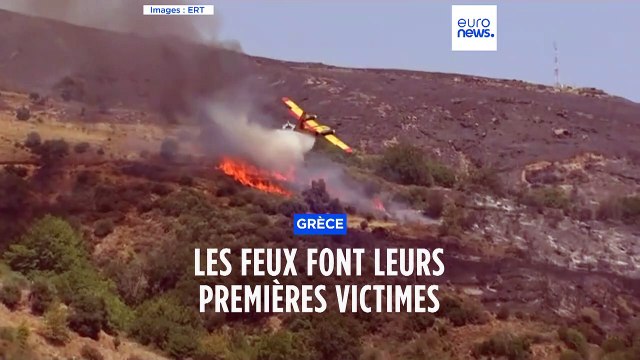 Incendies en Grèce : un avion bombardier d'eau s'est écrasé en luttant contre les flammes