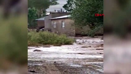 Özalp ilçesinde sağanak sele neden oldu
