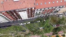 Maltempo a Milano, gli alberi abbattuti in viale Argonne visti dal drone