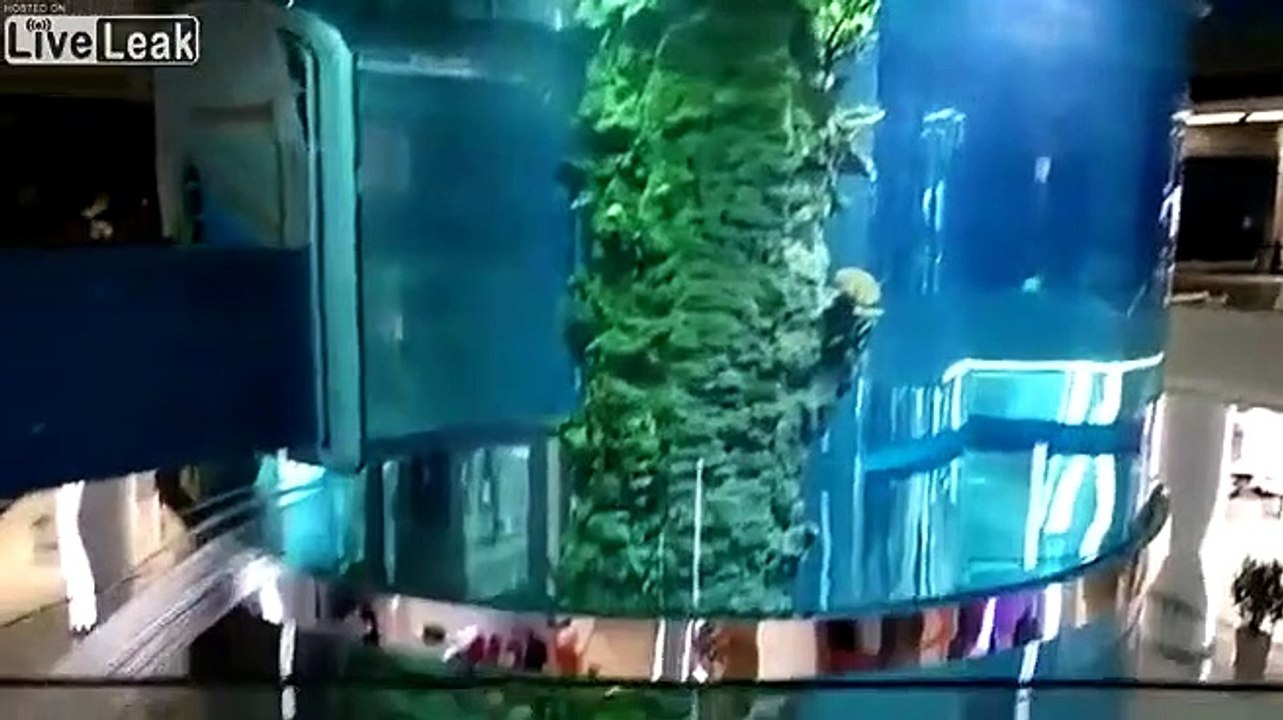 Un aquarium géant de 24m de haut a une énorme fuite dans un supermarché