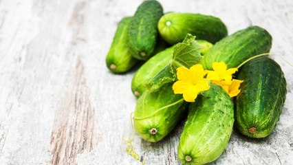 8 Must-Know Tips for Pruning Cucumber Plants to Boost Your Harvest