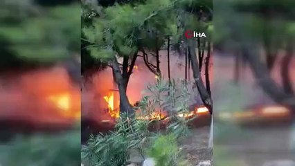 Le feu a été éteint, le citoyen a réagi aux pique-niqueurs