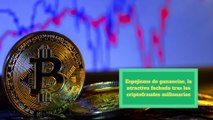 Espejismo de ganancias, la atractiva fachada tras los criptofraudes millonarios