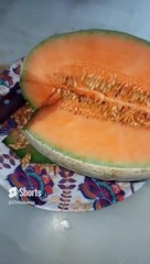 Desayunando un delicioso melón con el perro Rintintin Lazy Y el perico  Macario #shorts mascotas