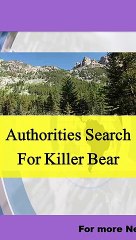 Authorities Search For Killer Bear
