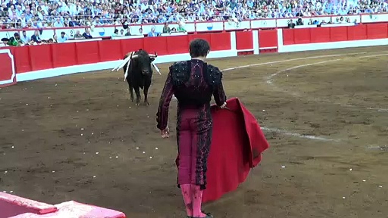 Cogida a Roca Rey en Santander