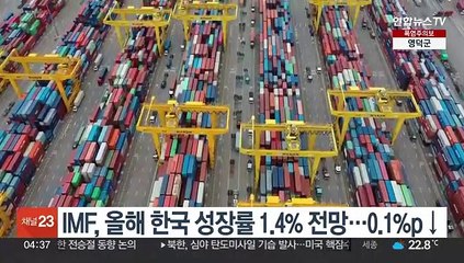 下载视频: IMF, 올해 한국 성장률 1.4% 전망…0.1%p↓