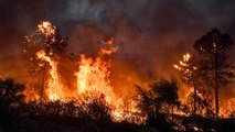 الجزيرة ترصد آثار حريق في ملولة شمال غربي تونس